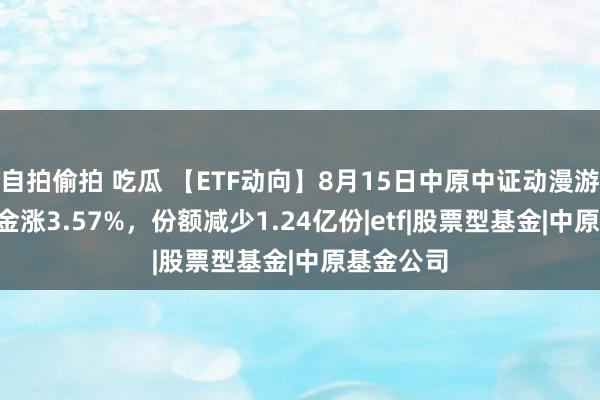 自拍偷拍 吃瓜 【ETF动向】8月15日中原中证动漫游戏ETF基金涨3.57%，份额减少1.24亿份|etf|股票型基金|中原基金公司