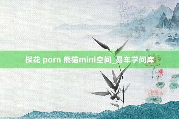 探花 porn 熊猫mini空间_易车学问库