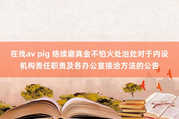 在线av pig 络续磨真金不怕火处治处对于内设机构责任职责及各办公室接洽方法的公告